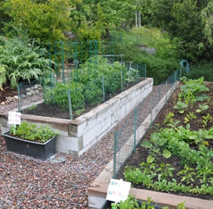 Food Producing Gardens
